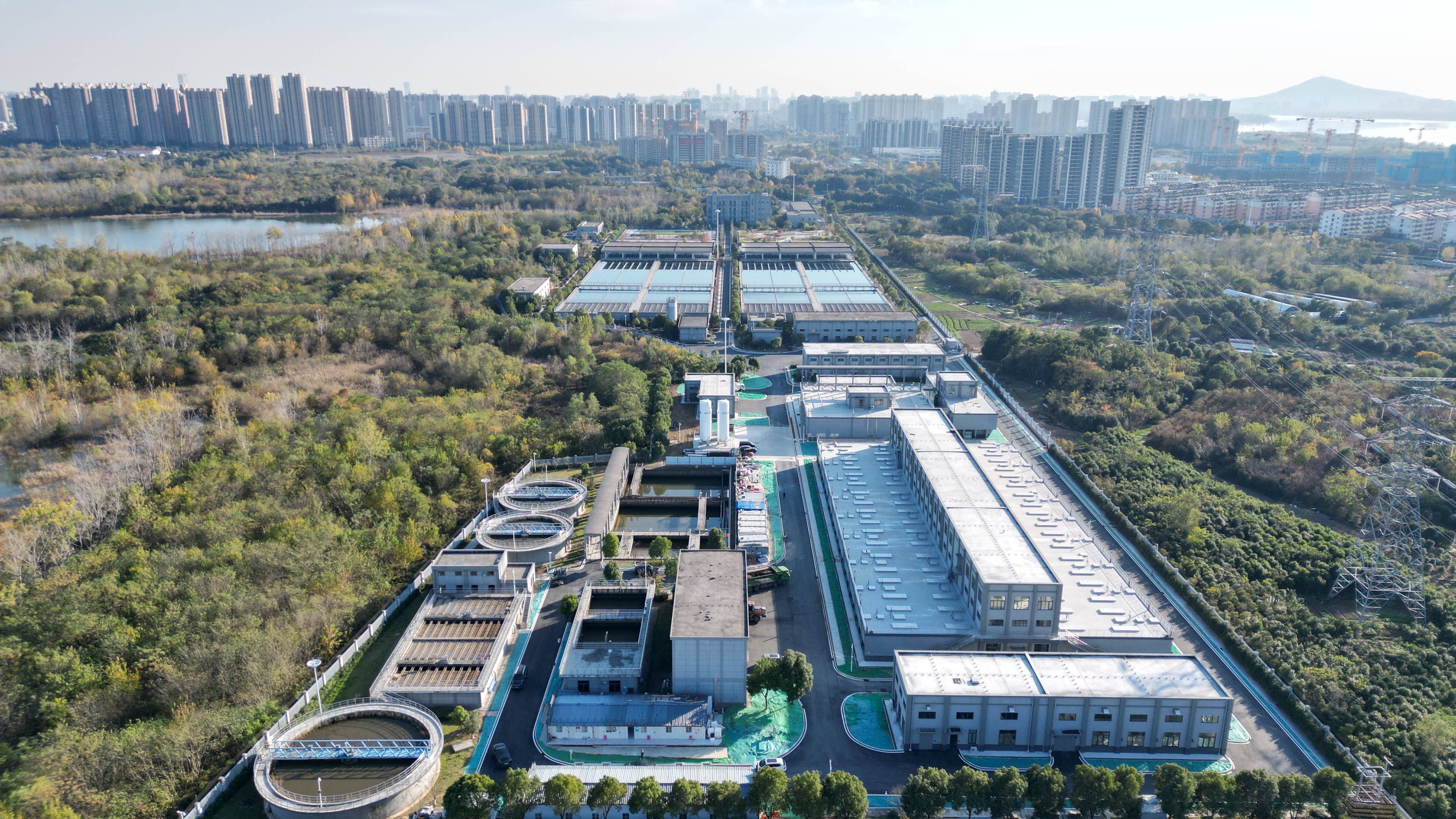 六盘水市合肥专业企业价值增长(合肥市重点企业产业目录)