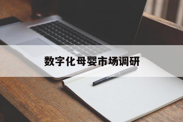 六盘水市数字化母婴市场调研(数字化母婴市场调研报告)